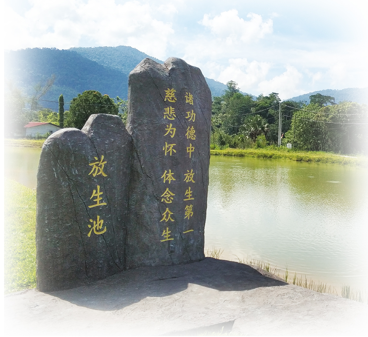 种生基 - 风水 Feng Shui 365